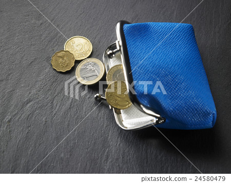 coin purse coin purse 24580479