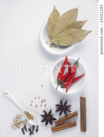 spices spices 24581285
