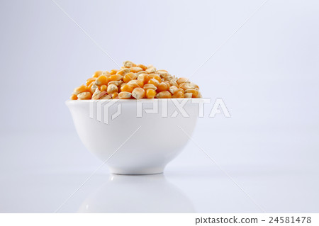 maize corn maize corn 24581478