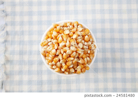 maize corn 24581480