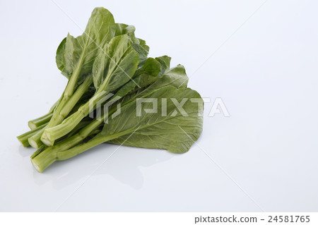 choi sum choi sum 24581765