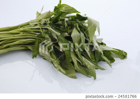 kangkong kangkong 24581766