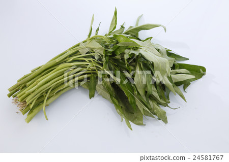 kangkong kangkong 24581767