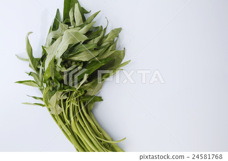 kangkong kangkong 24581768