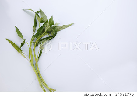 kangkong kangkong 24581770