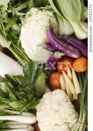 vegetables group vegetables group 24581772