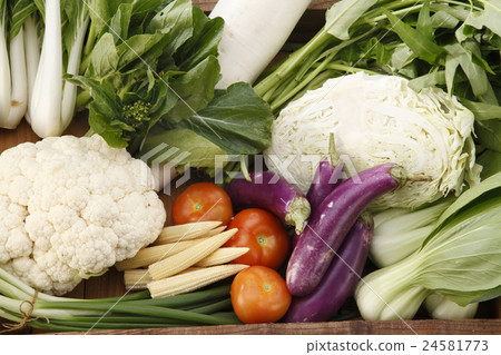 vegetables group vegetables group 24581773