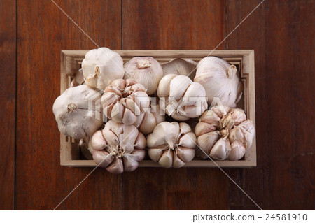 garlic 24581910
