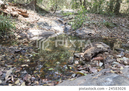 trail on hill in forest for hiking or trekking trail on hill in forest for hiking or trekking 24583026