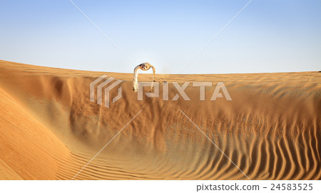 Desert Eagle Owl 24583525