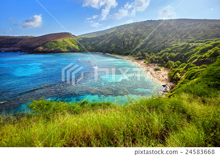 aerial view of Hanauma Bay, Oahu, Hawaii 24583668