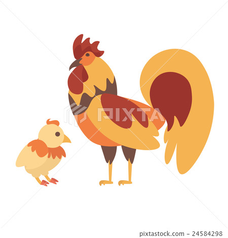 Cock and Chicken. Vector 24584298