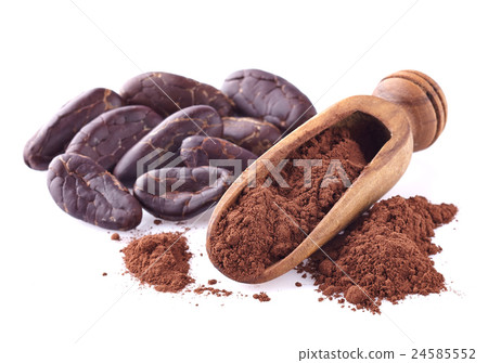 Cacao powder 24585552