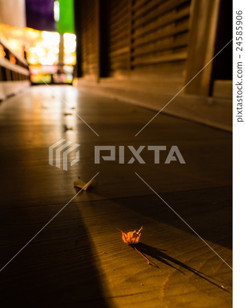Fallen leaves  24585906