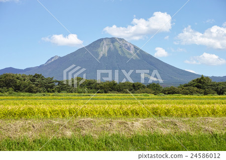 夏天大山西腳 24586012