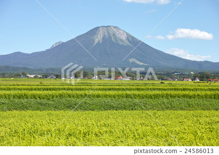 夏天大山西腳 24586013