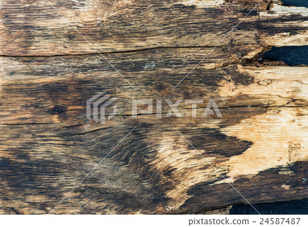 Old rustic natural wood texture, wallpaper and 24587487