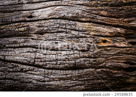 Old wooden planks Old wooden planks 24589635