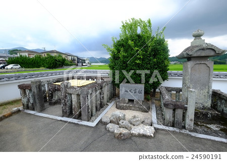 Ii Father先生的公共生育很好（從內部的右邊） 24590191