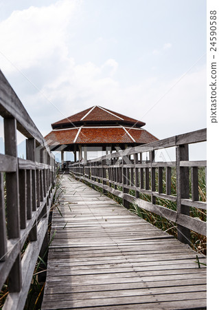 Khao Sam Roi Yod National Park, Thailand. 24590588