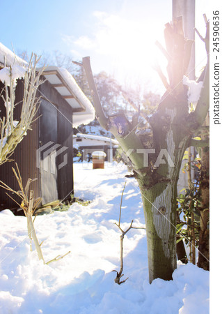 落入大雪區域的日出 24590636
