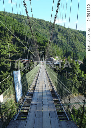 Tanze吊橋 Tanze吊橋 24591310