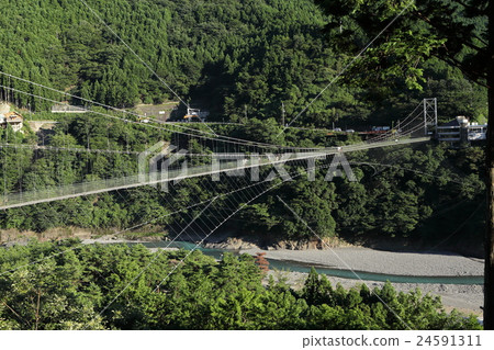 Tanze吊橋 Tanze吊橋 24591311