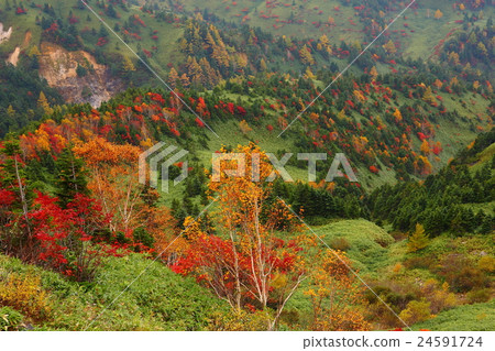 志賀高原秋葉 志賀高原秋葉 24591724