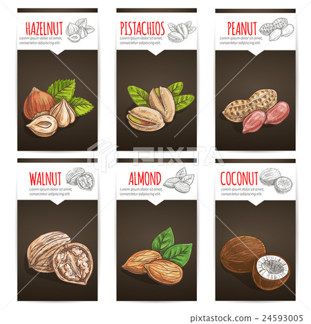 Nuts, grain and kernels poster with titles Nuts, grain and kernels poster with titles 24593005