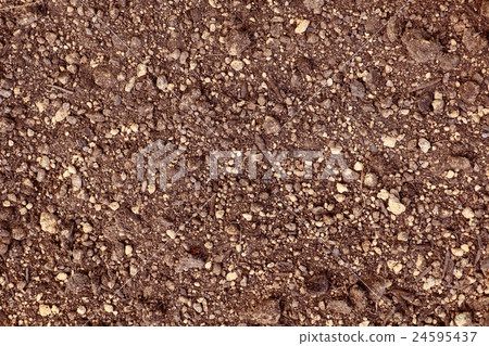 星期六紋理 星期六紋理 24595437