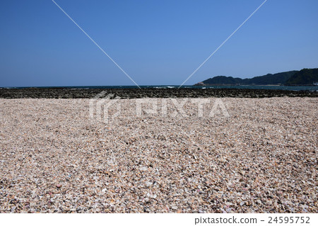 青島和青島神社(宮崎縣宮崎市) 青島和青島神社(宮崎縣宮崎市) 24595752