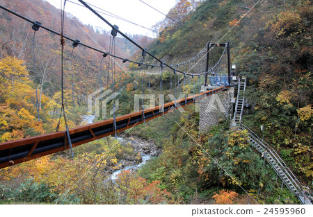 Autumn Sotaki [Autumn leaves and Otagiri river and Myosenbashi under construction] 24595960