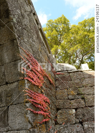 Autumn leaves of Ishibashi 24596137