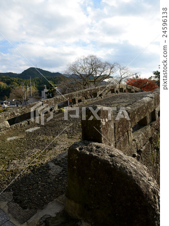 Tabeiwa Eyeglass Bridge 24596138