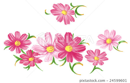 Cosmos 24599601