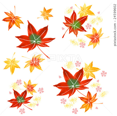 Autumn leaves 24599602