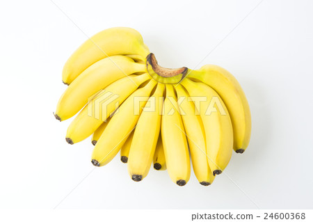 24600368