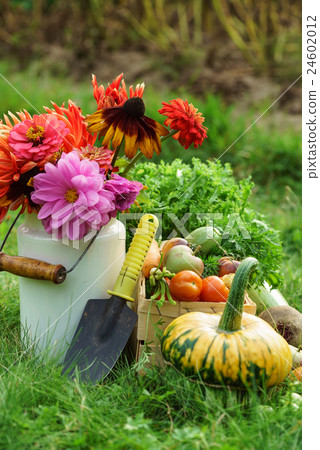 autumn arrangement 24602012