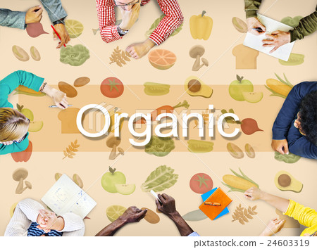 Organic Nutrition Nature Ingredients Agriculture Concept Organic Nutrition Nature Ingredients Agriculture Concept 24603319