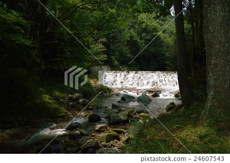 佐賀縣Kaze河的上游 24607543