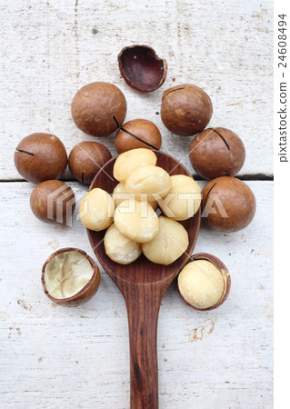 Macadamia nuts Macadamia nuts 24608494
