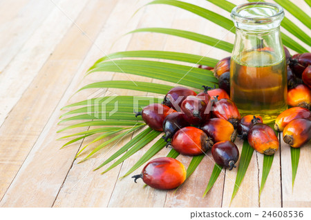 Commercial palm oil cultivation. Since palm oil  24608536