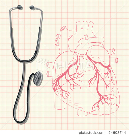 Stethoscope and human heart Stethoscope and human heart 24608744