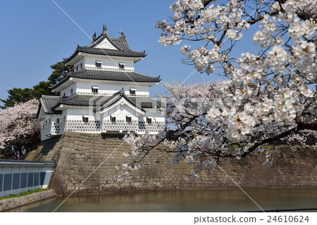 Shibata castle 24610624