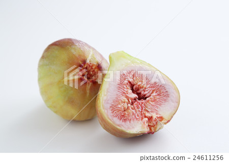 無花果無花果魚 24611256