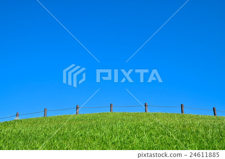 Blue sky and green lawn 24611885