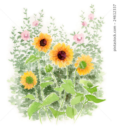 Watercolor sketch of analog watercolor sunflowers and roses 24612337