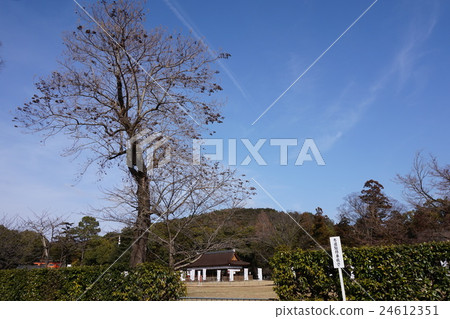Kyoto Kamigamo Shrine 24612351