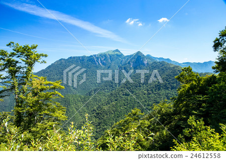 從土壤小屋(Kamegamori)看到的底部森林 從土壤小屋(Kamegamori)看到的底部森林 24612558