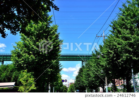 About 300 meters nationally unusual water bridge water bridge 24612746